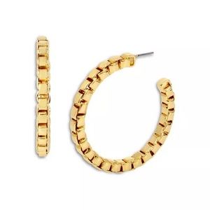 Allsaints Frozen Chain Hoop Earrings